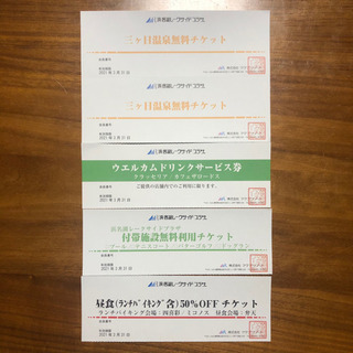 浜名湖レークサイド 温泉無料チケット2枚＋施設無料券＋ドリンク券...