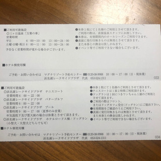 浜名湖レークサイド 温泉無料チケット2枚＋施設無料券＋ドリンク券＋ランチ半額券の画像