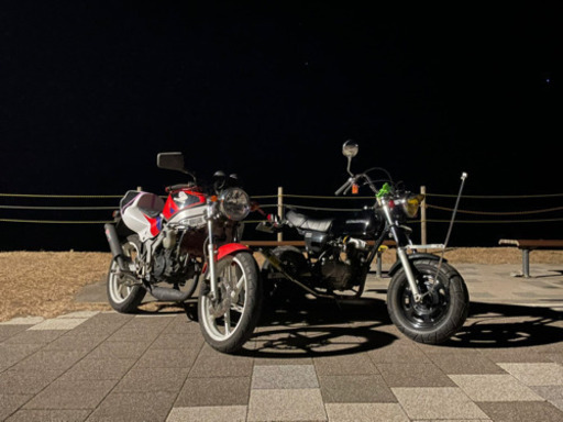 NS1 ネイキッド仕様