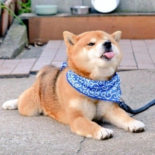 ママ友募集です☺︎
