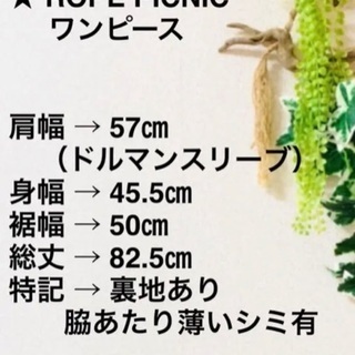 【早い者勝ち】 ROPE  PICNICボーダーワンピースの画像