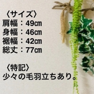 【早い者勝ち】riendaのワンピースの画像