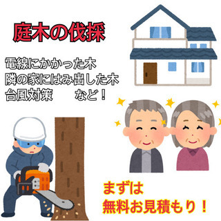 伐採専門！庭木でお困りの方、ご相談下さい！