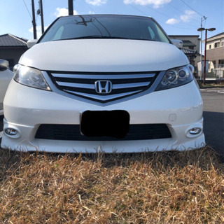 エリシオンの画像