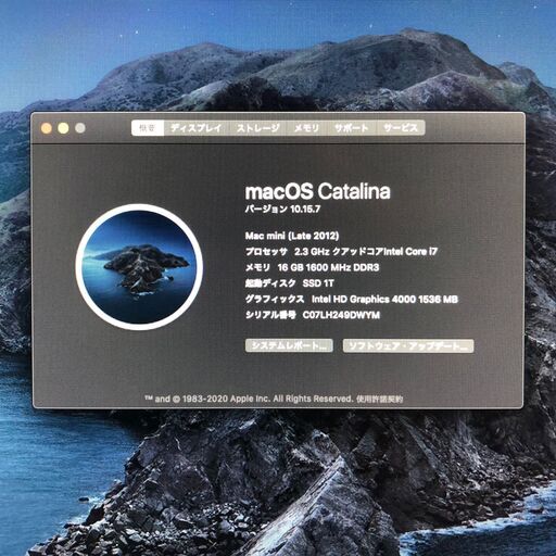 【本日お届けします】超カスタム Mac mini【大容量SSD+HDD Server仕様】No.21