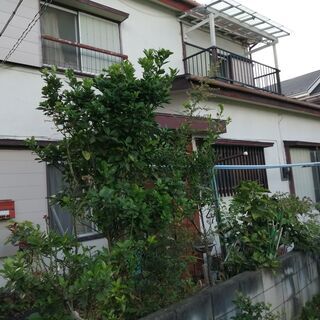 武里駅(徒歩10分) 戸建 - 春日部市