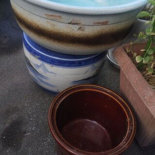 睡蓮鉢 火鉢 久松壺 売りますの画像