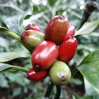 【募集終了】★新設★グループチャット 登山、山歩き 40～55歳＠関東 - 豊島区