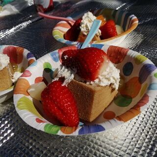 【募集終了】★新設★グループチャット 登山、山歩き 40～55歳＠関東