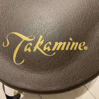 タカミネ　エレアコ