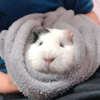 大量のタオル！助けてください