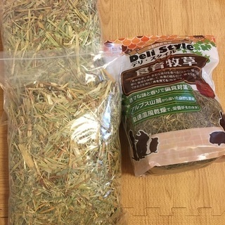 牧草・チモシーの画像