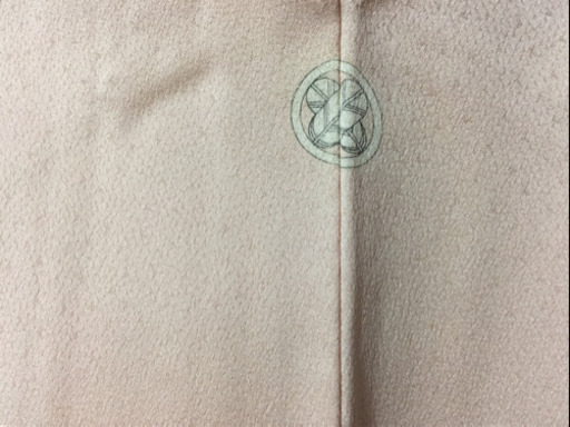 正絹 色留袖 結婚式 式典 卒業式 入学式 訪問着 着物 きもの 付下げ