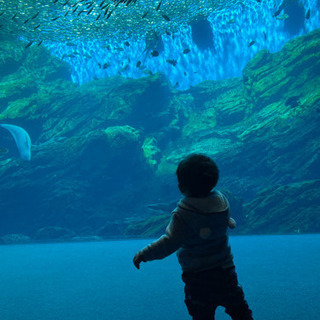 水族館🦈公園に行けるお友達募集中