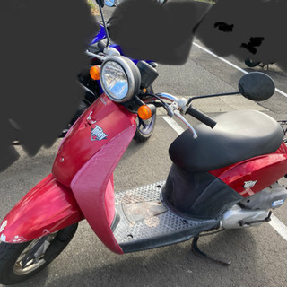 HONDA トゥデイ　原付バイク　50cc