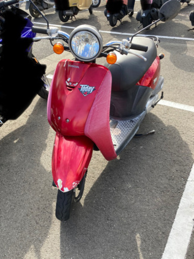 HONDA トゥデイ 原付バイク 50cc HONDA トゥデイ 原付バイク 50cc