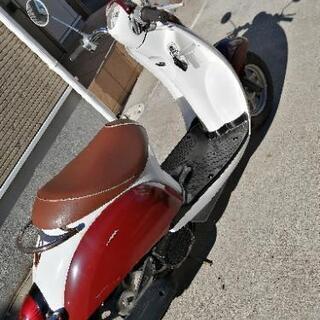 ホンダ　原付き　スクーピーの画像