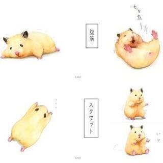 それぞれのペースで一緒にトレーニングしませんか❓🏋️
