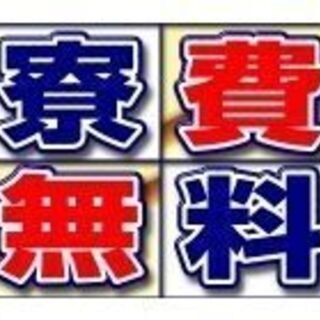 氷製品の運搬業務【フォークリフト資格・経験必須】【夜勤のみ！男性活躍中】の画像