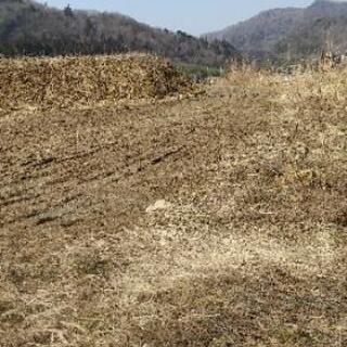 皆さま土地を貸して、自然なキャンプ場を若者、身体が自由が効かない方、外国から来た人１泊1500円からの予定です。 - 土地販売/土地売買