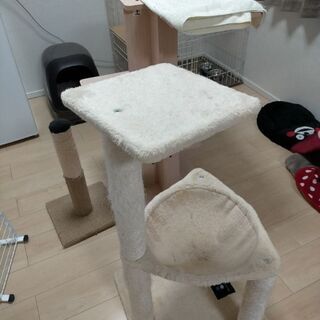キャットツリー
