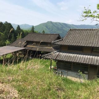 新規就農者募集！やってみたい！そう思う方はまず連絡を♪京丹波町