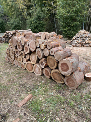 杉　玉切り　軽トラ積み放題　薪