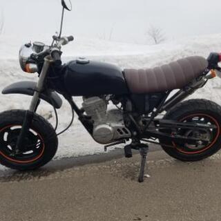 エイプ50DXの画像