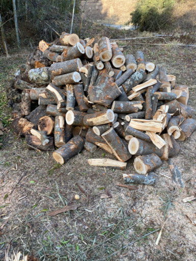 広葉樹　玉切り　軽トラ積み放題　薪