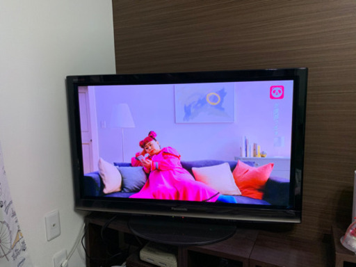 Panasonic VIERA プラズマテレビ　TH-P42R1  42インチ
