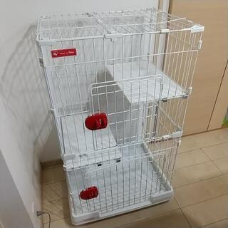 売約済　ペットケージ　状態やや悪