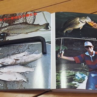 図解早わかりルアーフィッシング高田弘之氏著作西東社総227ページの画像