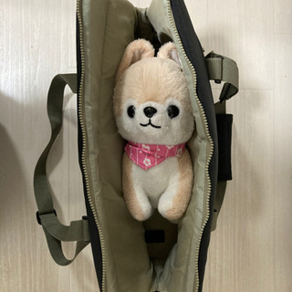 ペット用のキャリーバックですほとんど使用しておりませんの画像