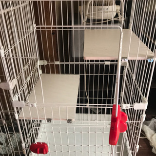 キャット　ゲージ　　各種あります