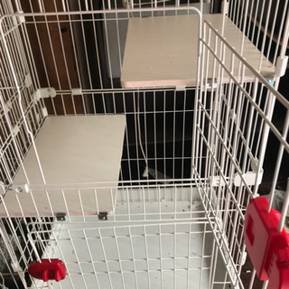 キャット　ゲージ　　各種ありますの画像