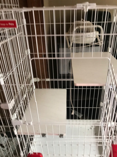 キャット　ゲージ　　各種あります