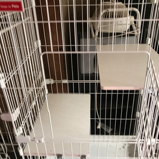 キャット　ゲージ　　各種ありますの画像