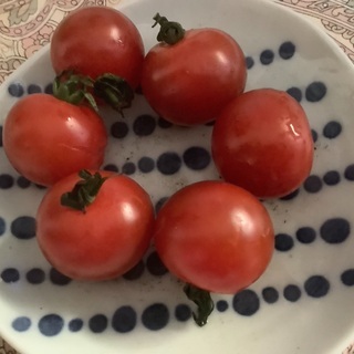 🧚‍♀️ダイエットコーチング　美容　痩身というより食事管理　運動