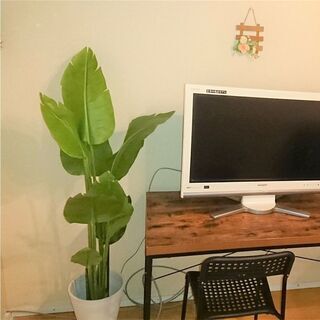 人工観葉植物　フェイクグリーン　ニトリ　トラベラーズパーム　高さ...