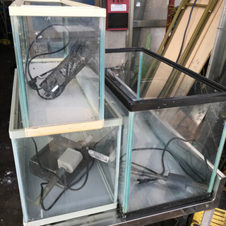 金魚を飼ってた水槽3個まとめて。