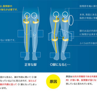 スタイレックスQ 中古の画像