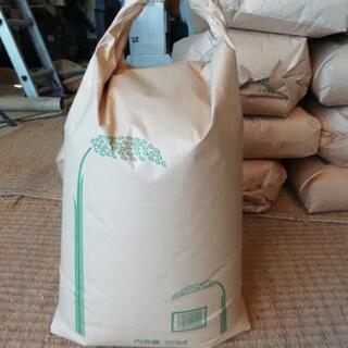令和4年産ヒノヒカリ玄米20キロ