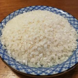 ヒノヒカリ白米10キロ¥3500(税込)