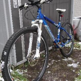 ゲイリーフィッシャーマンバ29インチカスタムマウンテンバイクの画像