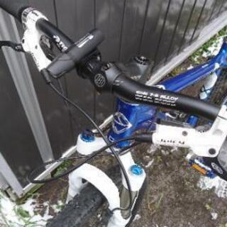 ゲイリーフィッシャーマンバ29インチカスタムマウンテンバイクの画像