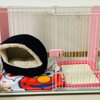 わんちゃんお迎え新生活グッズ