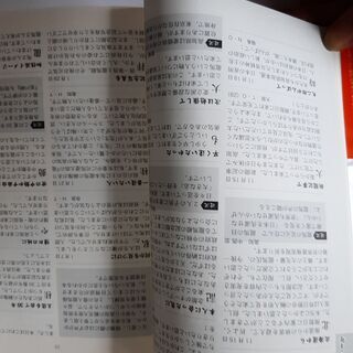 (新品)ほいたら待ちゆうき龍馬の画像