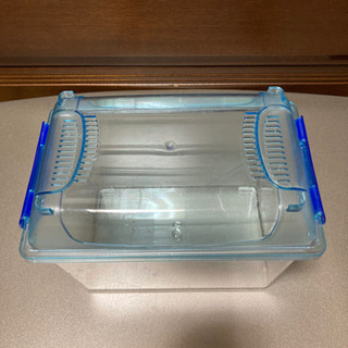【３月半ばまで】🦗虫かごの画像