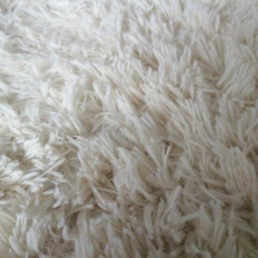 ふわふわカーペット