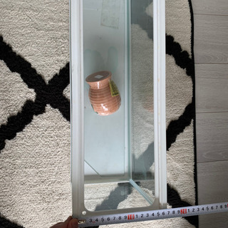 横長の水槽の画像